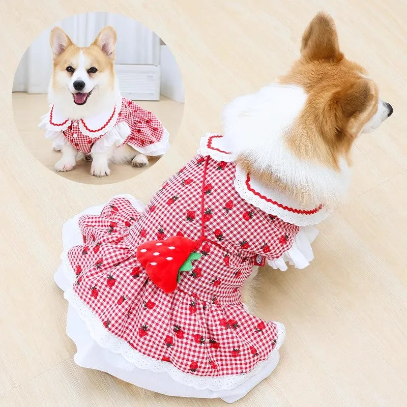 Cute Plaid Female Girl Puppy Strawberry Dress